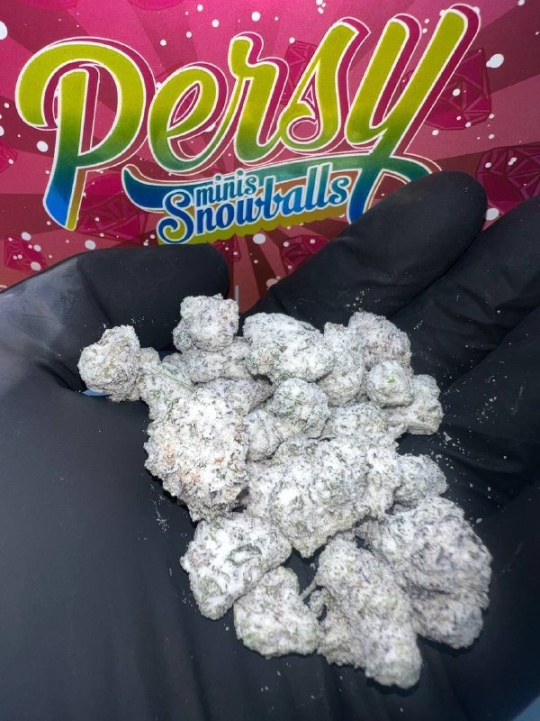 Persy  mini snowballs